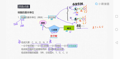 生物知识点