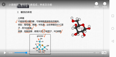 生物知识点