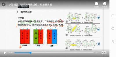 生物知识点