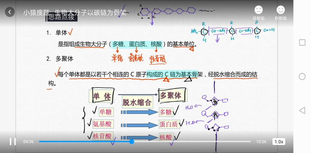 生物知识点