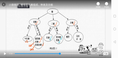 生物知识点