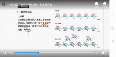 生物知识点