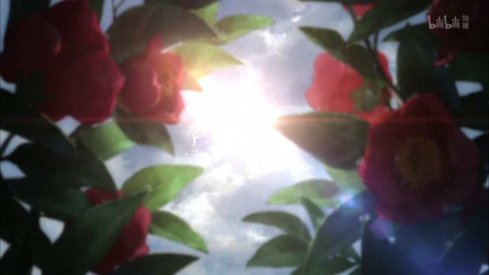 妖精森林的小不点