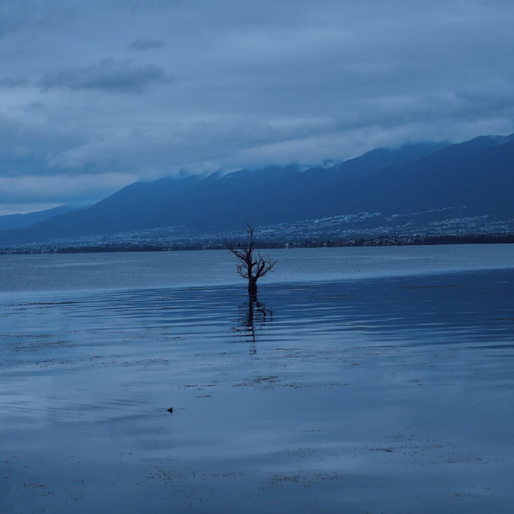 雨下了一整夜
摄影@一白山