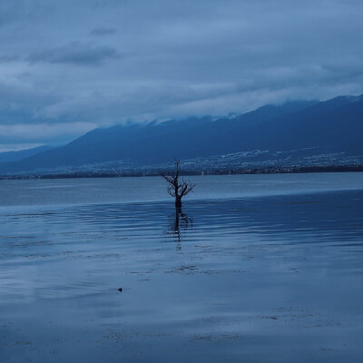 雨下了一整夜
摄影@一白山