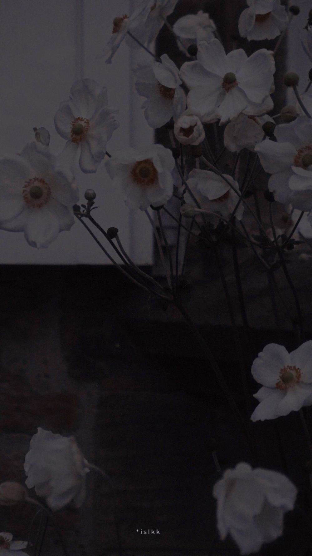 驚鴻難抵夢重重