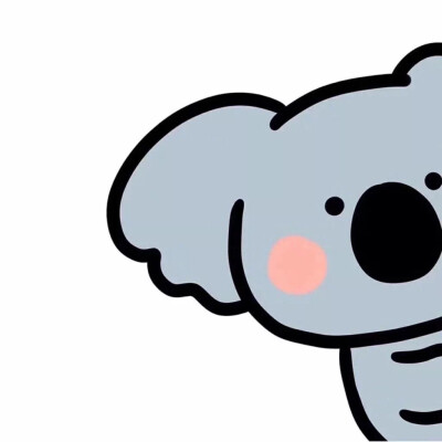 小动物保护协会