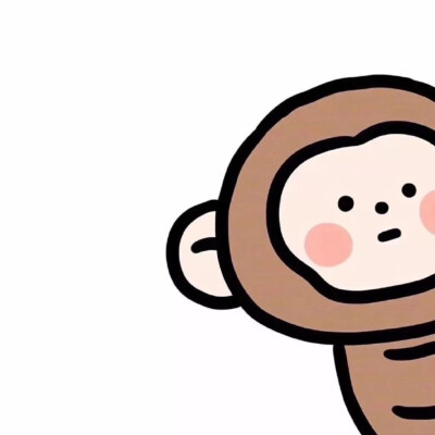 小动物保护协会