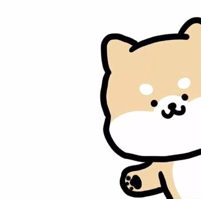 小动物保护协会