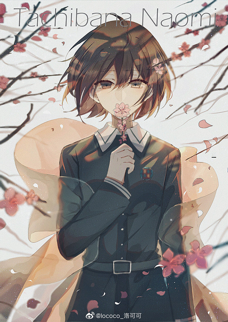 lococo_洛可可 09-12 恭贺开服!#妃十三学园# @妃十三学园