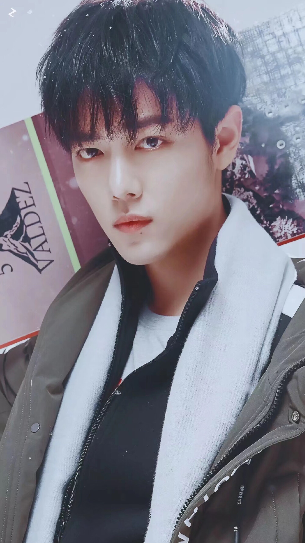 肖战
照片来源于微博侵删