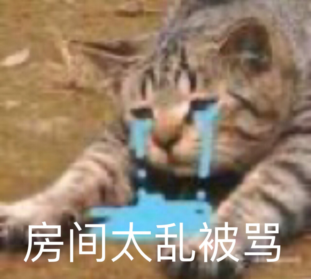 流泪猫表情包|太符合十一在家的我
十一七天，天天挨批
天天挨批，天天如此