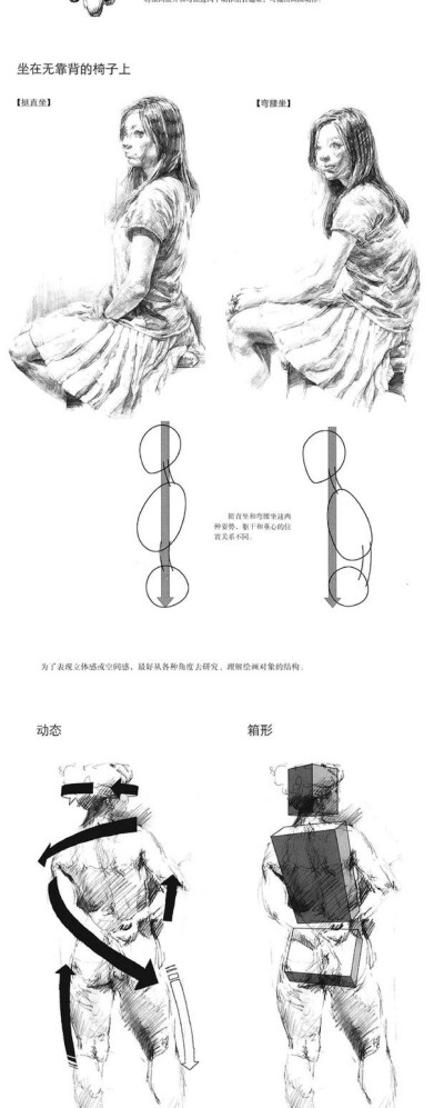 人体构造