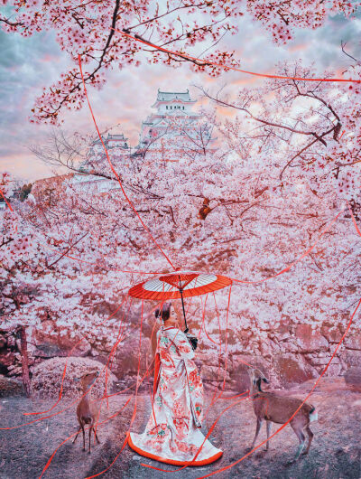 摄影师：Kristina Makeeva
ins：hobopeeba