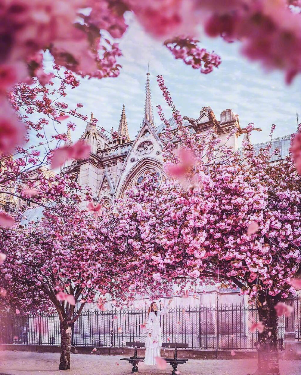 摄影师：Kristina Makeeva
ins：hobopeeba