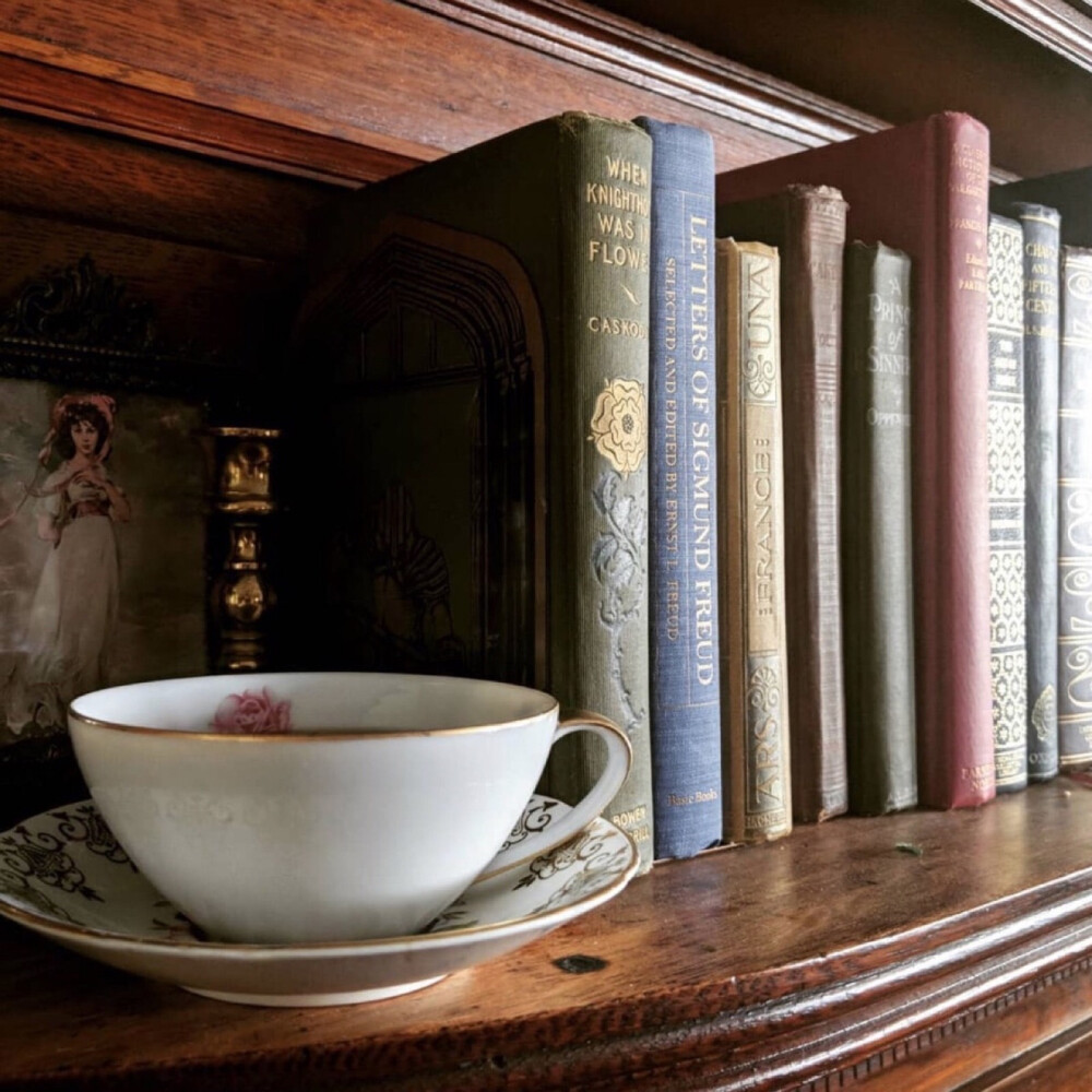 ♥ 阅读者 • books