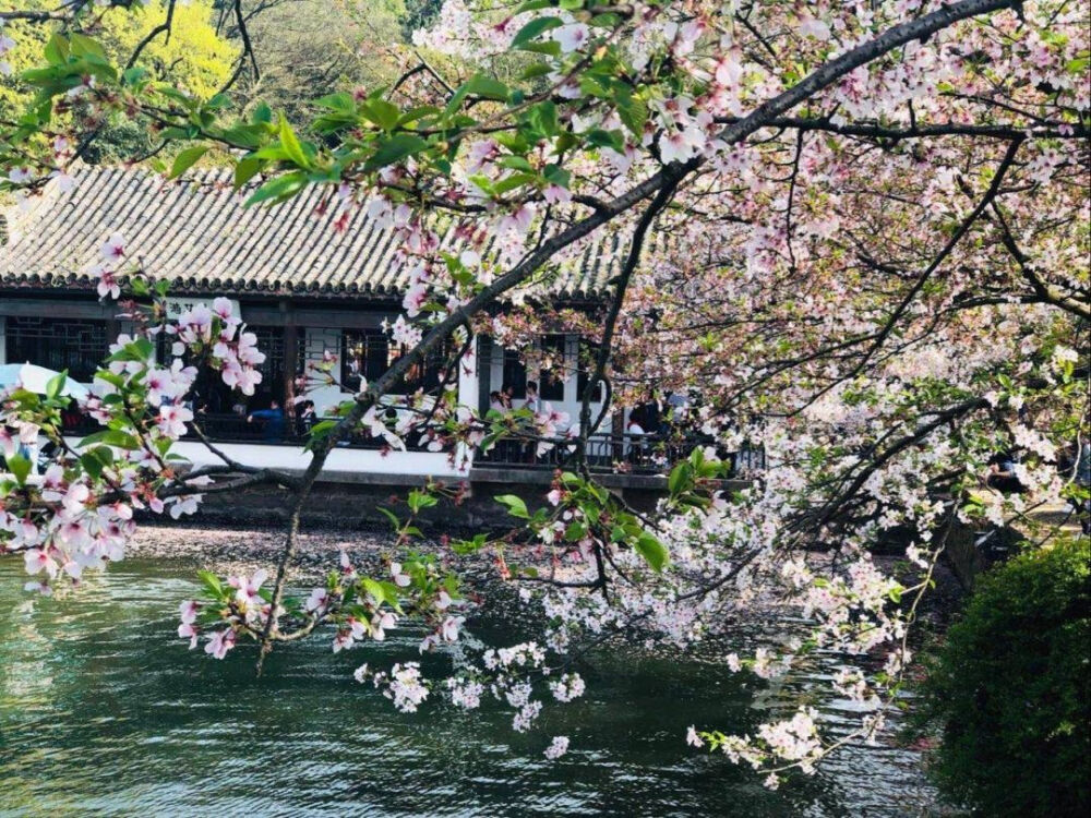 我们都是熬不过世俗的普通人.