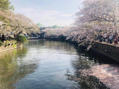 我们都是熬不过世俗的普通人.