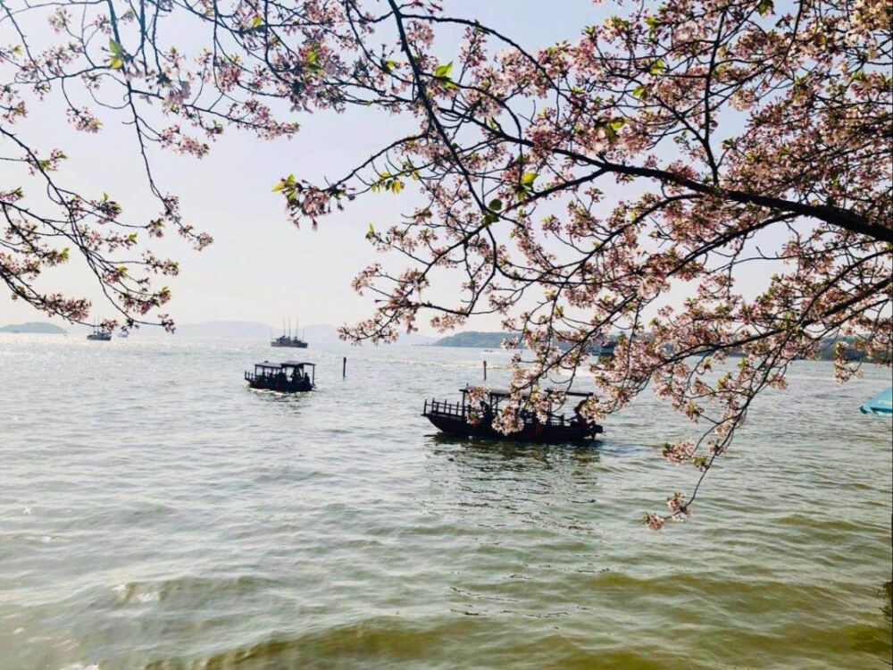 我们都是熬不过世俗的普通人.