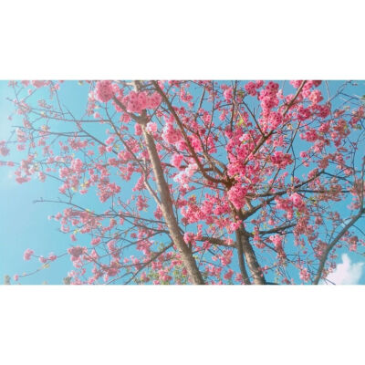 我们都是熬不过世俗的普通人.