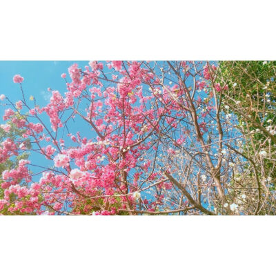 我们都是熬不过世俗的普通人.