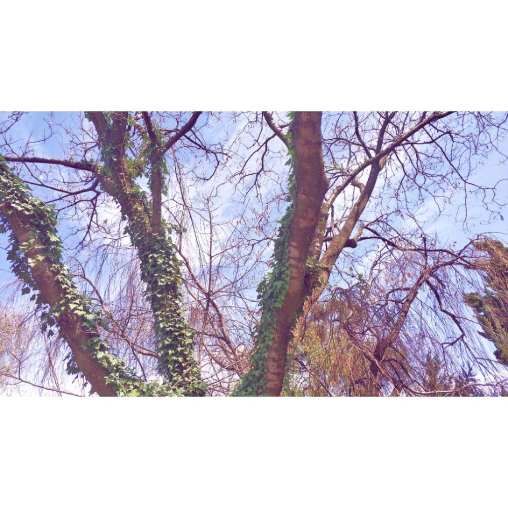 我们都是熬不过世俗的普通人.