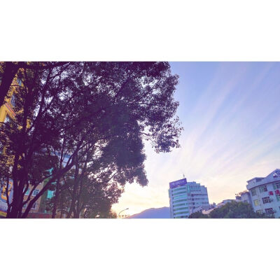 而你就恰似人间星辰.一眼我便沉沦.