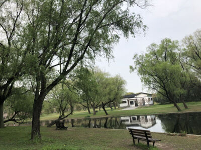 而你就恰似人间星辰.一眼我便沉沦.