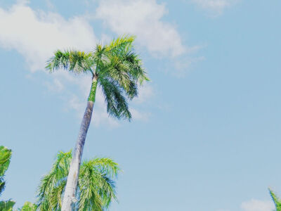 人间星辰.不及你.