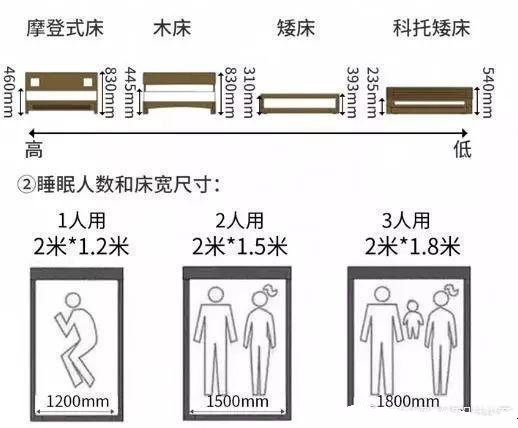 60个科学家居尺寸。 ​