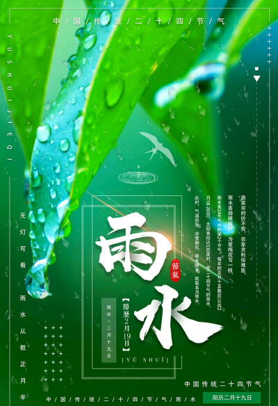 雨水