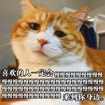 表情包