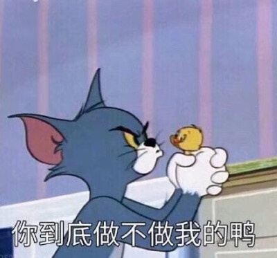 猫和老鼠 表情包