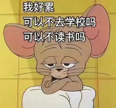 猫和老鼠 表情包