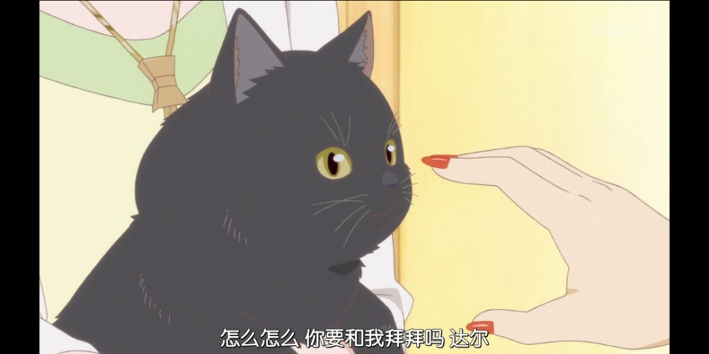 她与她的猫