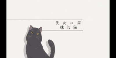 她与她的猫