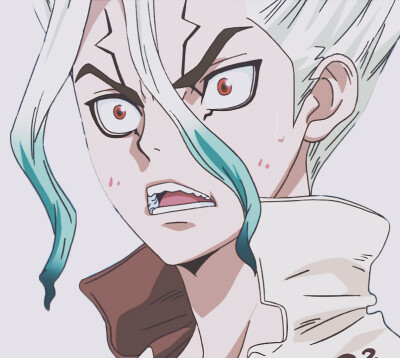 《DR.STONE 石纪元》
第 十 四 集