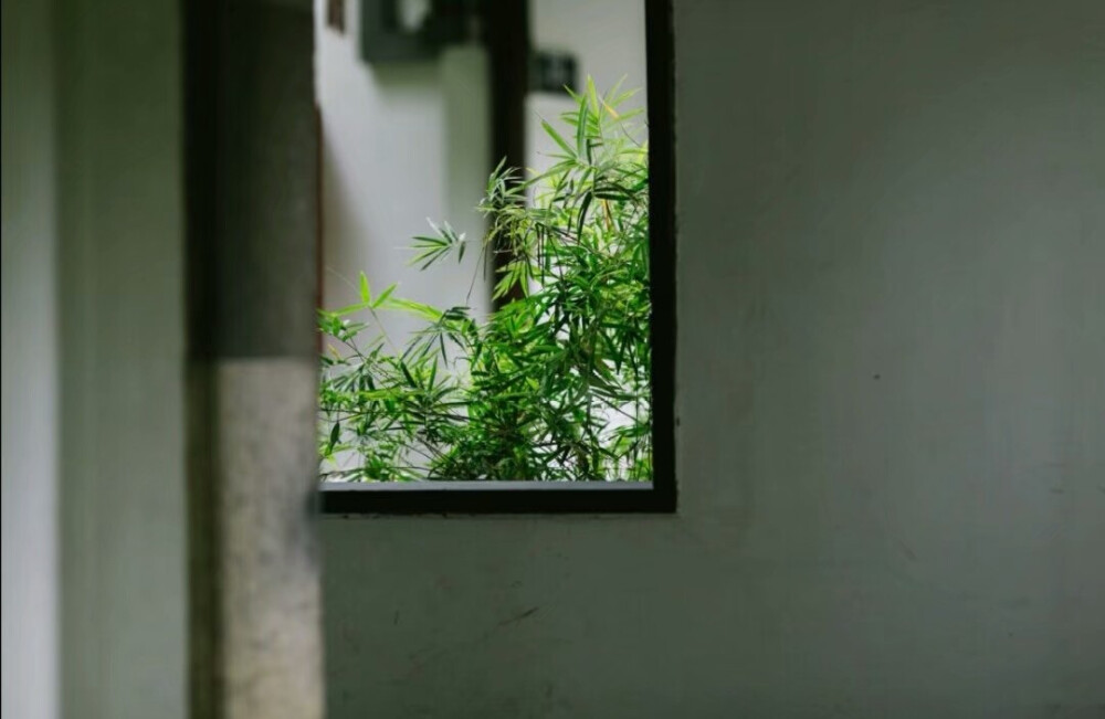 独坐幽篁里，弹琴复长啸