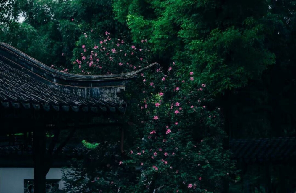 独坐幽篁里，弹琴复长啸