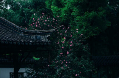 独坐幽篁里，弹琴复长啸