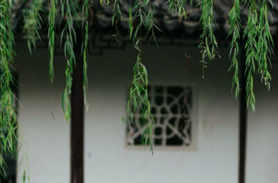 独坐幽篁里，弹琴复长啸