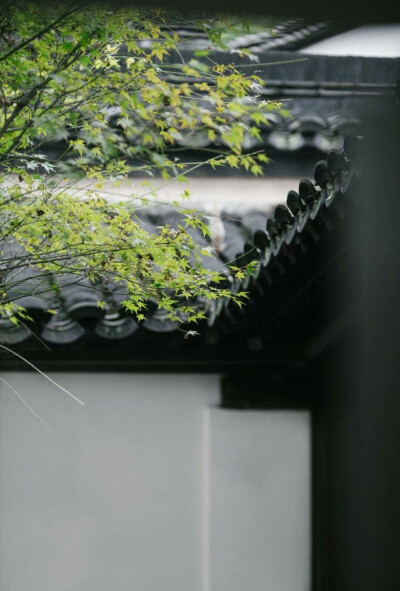 独坐幽篁里，弹琴复长啸