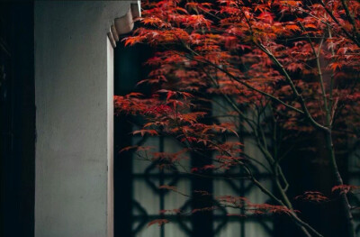 独坐幽篁里，弹琴复长啸