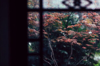 独坐幽篁里，弹琴复长啸