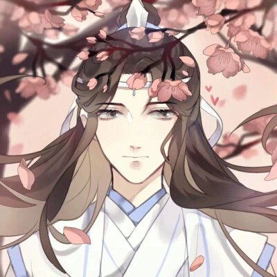 魔道祖师 忘羡