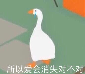 @追大鹅