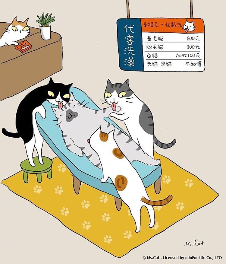 喵星人的假日生活，悠闲猫生。
(Artist:Ms.Cat) ​​​