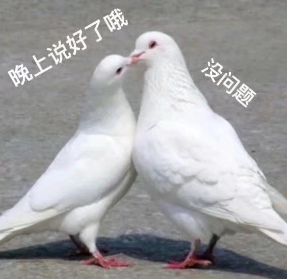 堆糖,美图壁纸兴趣社区