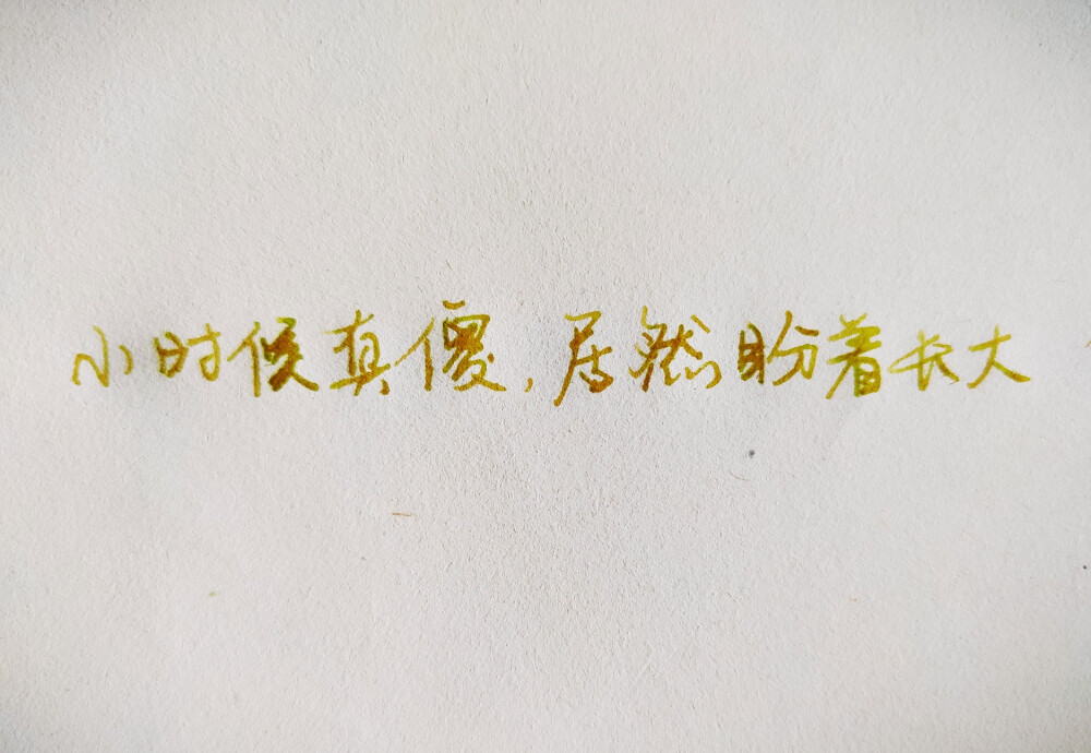 练字，写字 我喜欢的句子