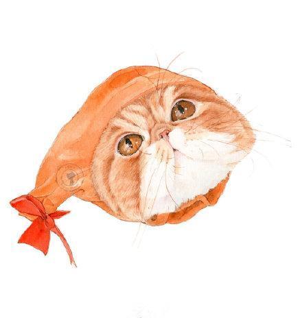 橘猫